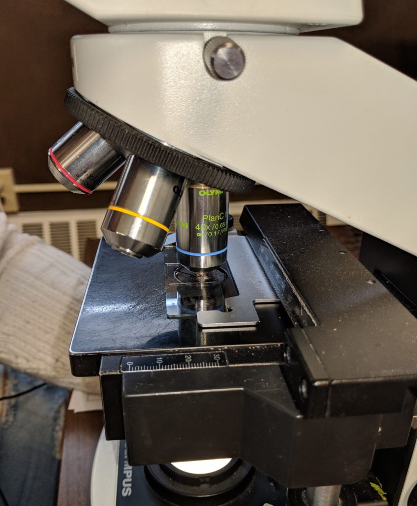 Laboratory Services Ambient Environmental Inc.